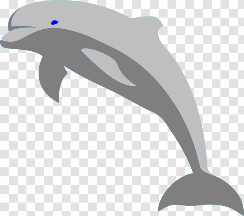 Bottlenose Dolphin Clip Art - Jumping - Gray Dolphins Transparent PNG