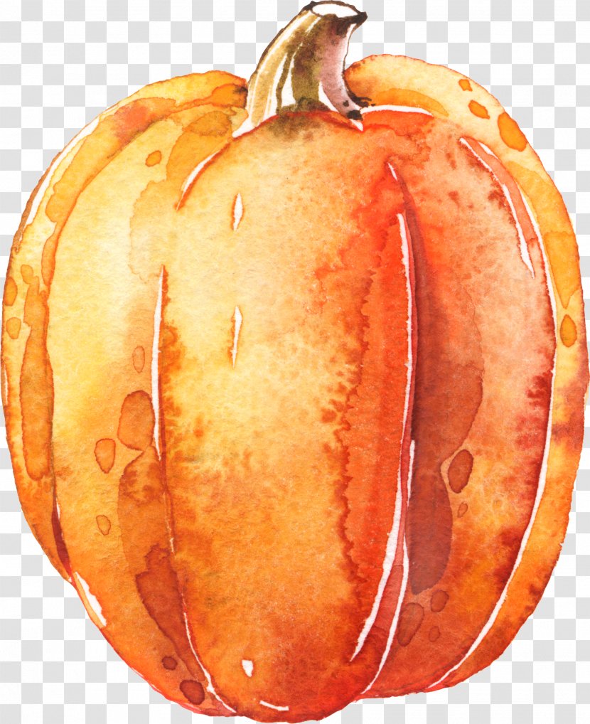 Pumpkin Calabaza Transparent Watercolor Halloween - Symbol Transparent PNG