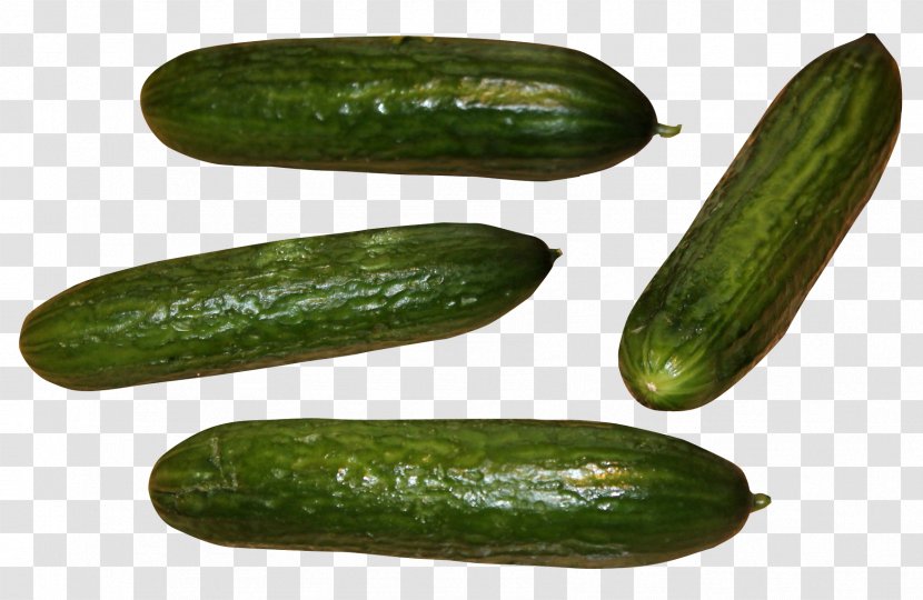 Sushi Slicing Cucumber Spreewald Gherkins Pickled - Pepino Transparent PNG