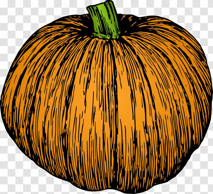 Jack-o'-lantern Pumpkin Pie Gourd Calabaza - Fruit Transparent PNG