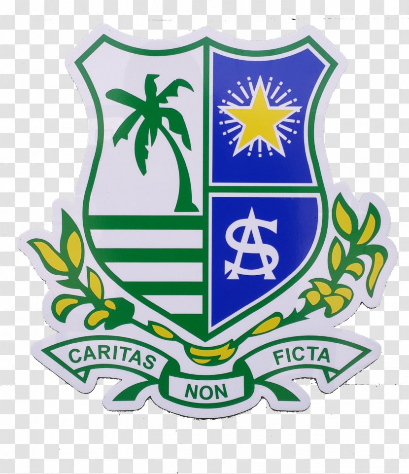 St. Anthony's School, Teluk Intan Sekolah Menengah Kebangsaan St Anthony National Secondary School Majlis Perbandaran - Tree - Makhluk Nonmanusia Transparent PNG