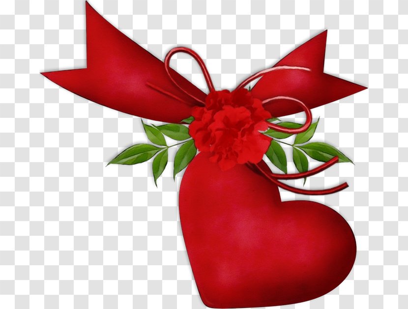 Christmas Ornament - Flower - Holly Transparent PNG