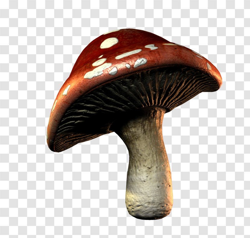 Mushroom Download Clip Art - Pattern Transparent PNG