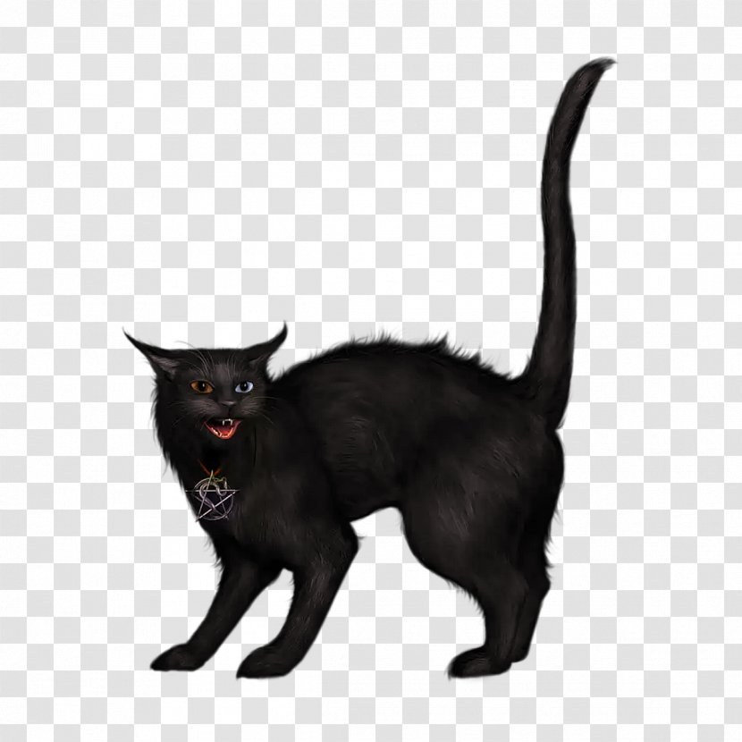 Black Cat Clip Art - Halloween - Creepy Transparent PNG