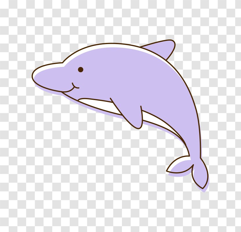 Tucuxi Common Bottlenose Dolphin Cartoon Porpoise Clip Art - Marine Mammal Transparent PNG