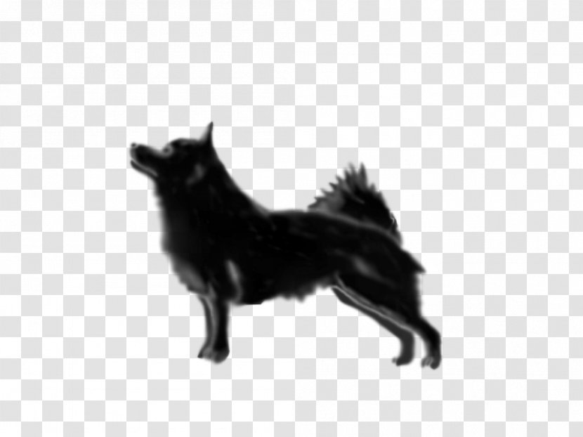 Schipperke Rare Breed (dog) Dog Group Snout - White - Monochrome Photography Transparent PNG