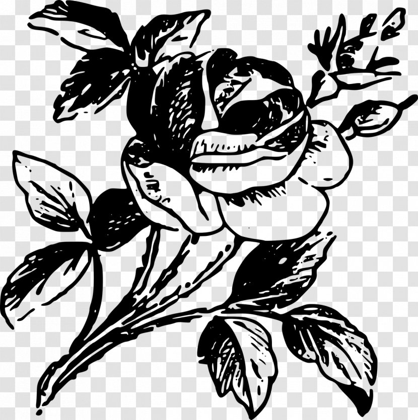 Rose Drawing Clip Art - Line - Tattoo Transparent PNG