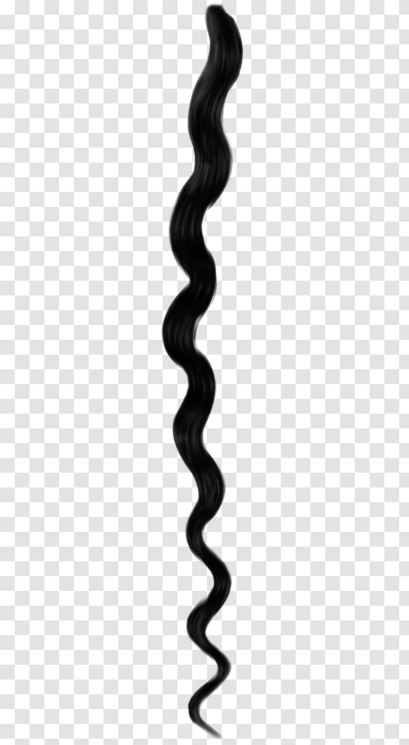 Hairstyle Long Hair NaturallyCurly.com - Black And White Transparent PNG