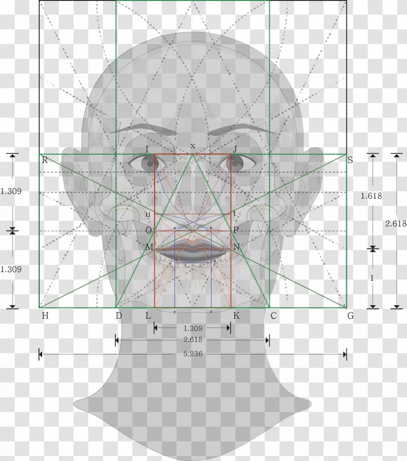 Nose Pattern - Cartoon Transparent PNG