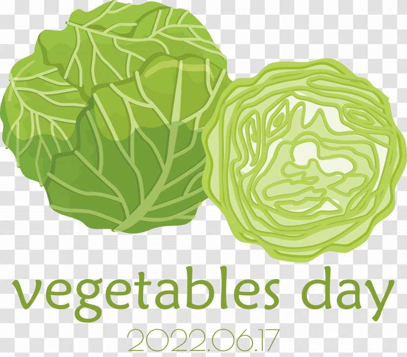 Leaf Vegetable Cabbage Vegetable Leaf Font Transparent PNG