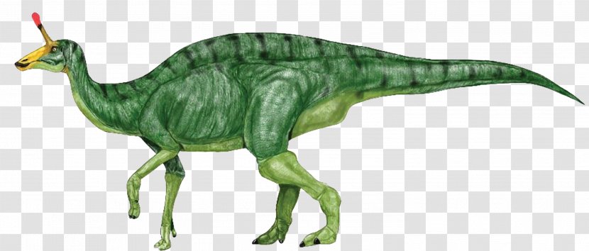 Tsintaosaurus Amurosaurus Jaxartosaurus Iguanodontia Corythosaurus - Fauna - Dinosaur Transparent PNG
