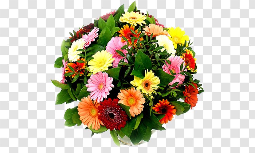 Cut Flowers Flower Bouquet Transvaal Daisy Floristry - Carnation Transparent PNG