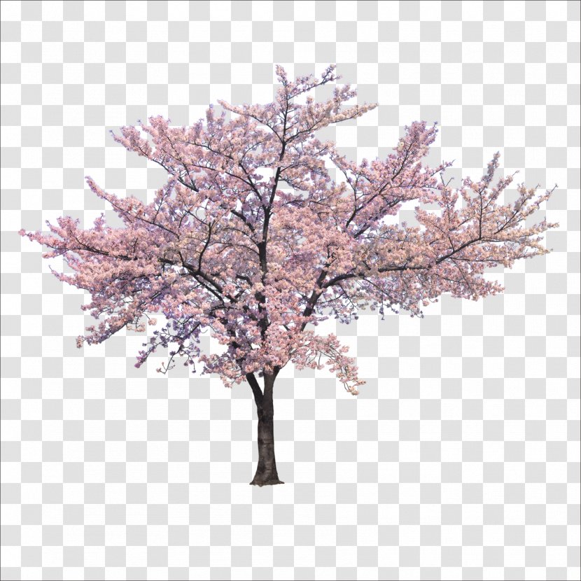 Tree Cherry Blossom Branch - Pixel - Trees Transparent PNG