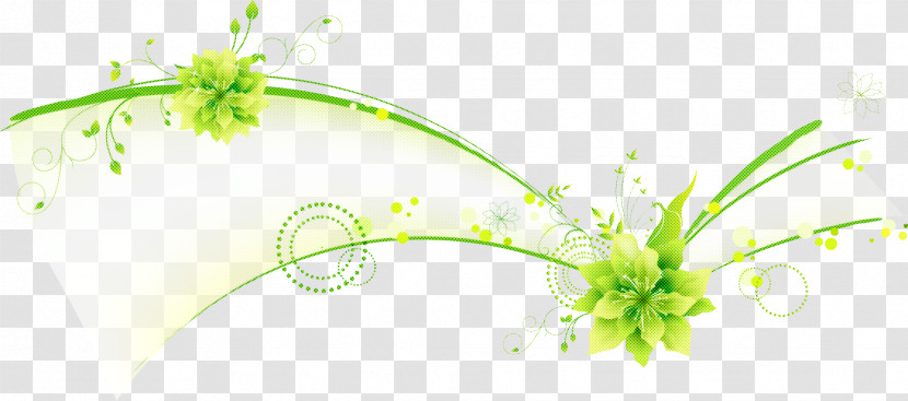 Flower Border Flower Background Transparent PNG