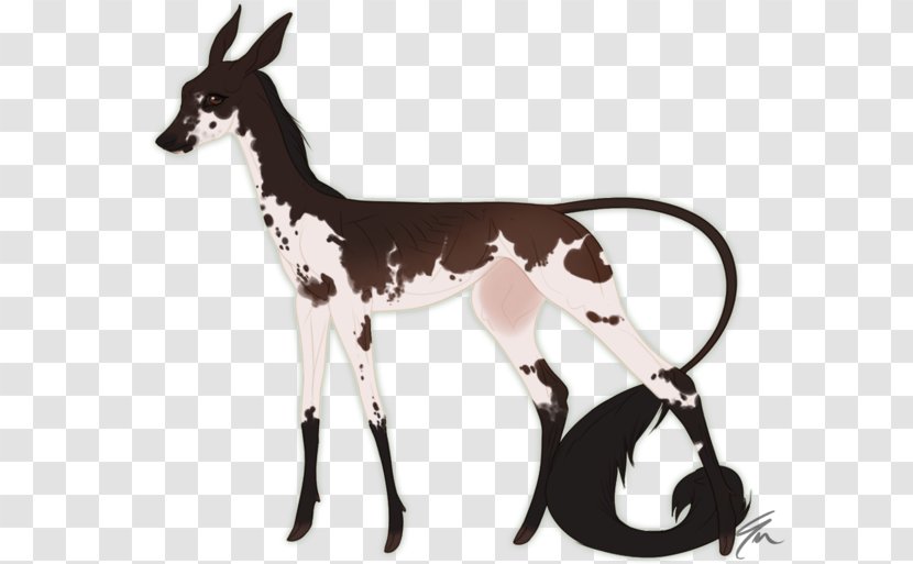 Horse Cattle Antelope Deer Pack Animal - Billy Goat Transparent PNG