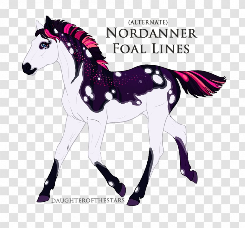 Pony Mustang Stallion Foal Mare - Filly Transparent PNG