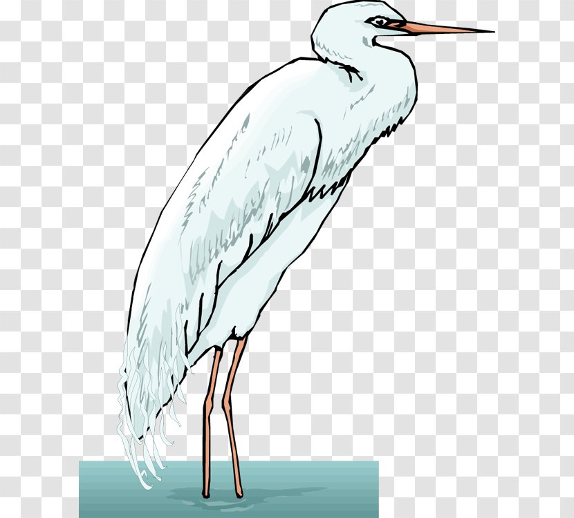 Heron Royalty-free Clip Art - Stork - Egrets Transparent PNG