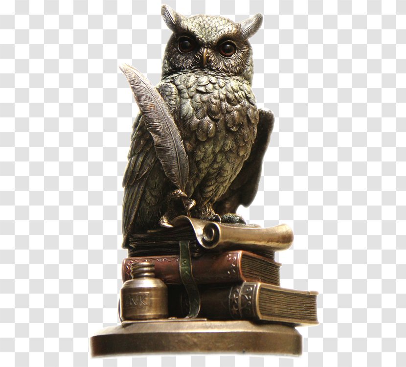 Owl Jocuri Intelectuale Beak Дресирування собак для захисно-караульної служби Trade - Bird Of Prey Transparent PNG
