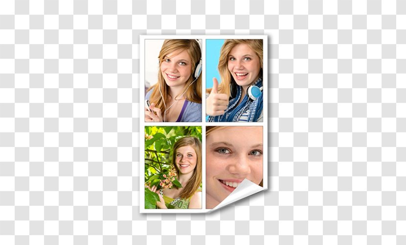 Photography Printing Picture Frames Canvas - Tree - Collage Flyer Transparent PNG