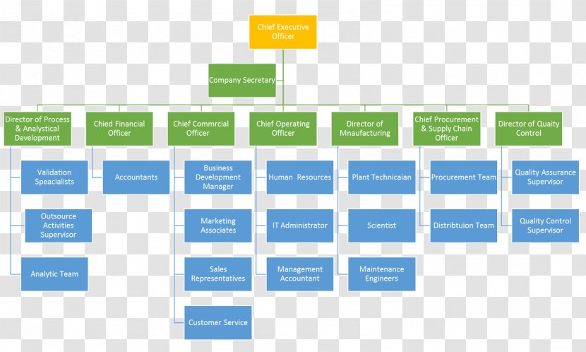 Organizational Chart Structure Company Business - Diagram - Service Industry Transparent PNG