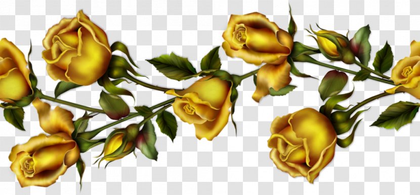 Flower Garden Roses GIF - Petal - Of Spray Transparent PNG