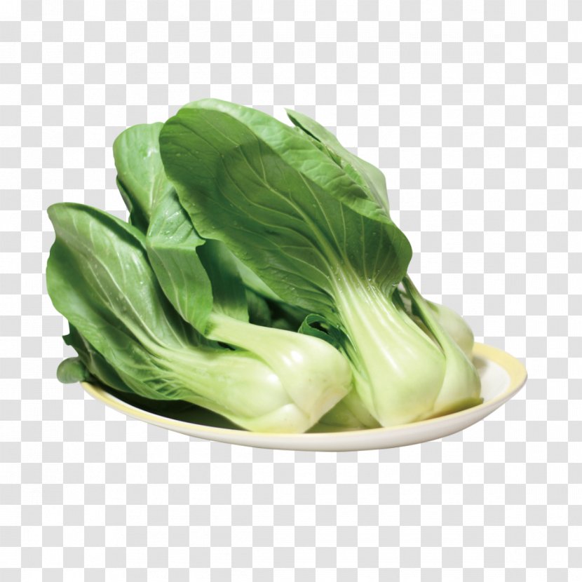 Bok Choy Napa Cabbage Vegetable Rapeseed Chinese - Red - Fresh Transparent PNG