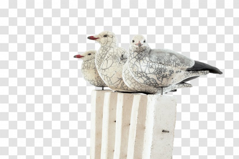 European Herring Gull Mouette Gulls Bird Ceramic - Canada Goose Transparent PNG