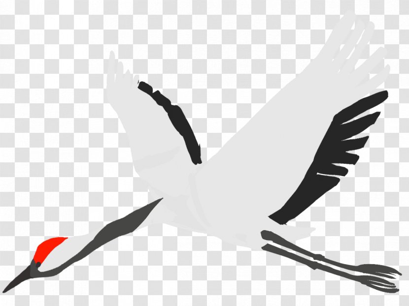 Crane Water Bird - Cygnini Transparent PNG