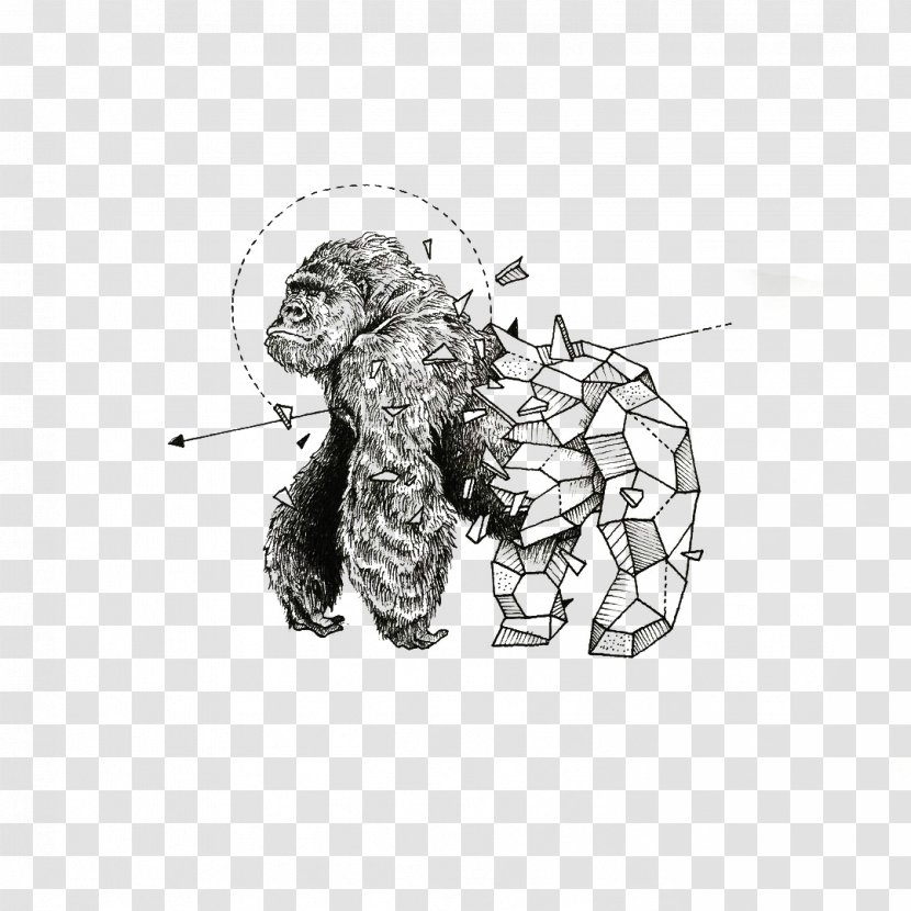 Sketchy Stories: The Sketchbook Art Of Kerby Rosanes Geometry Drawing Illustrator - Visual Arts - Gorilla Transparent PNG