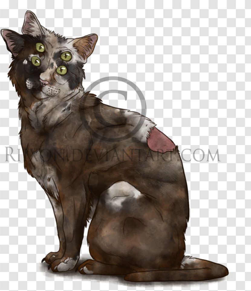 Whiskers Cat Kitten Art Drawing - Back Transparent PNG