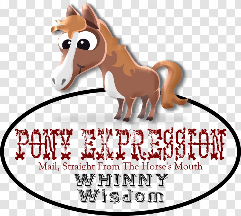 Pony Mustang Hartselle Downtown Whinny Widsom Pack Animal - Home Decor And Gift Boutique Transparent PNG
