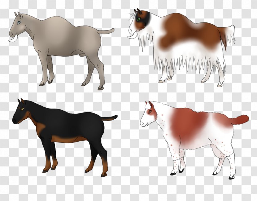 Cattle Mustang Goat Pack Animal Freikörperkultur - Livestock Transparent PNG