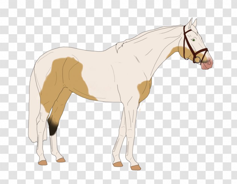 Foal Mustang Mare Stallion Rein - Alicemare Badge Transparent PNG