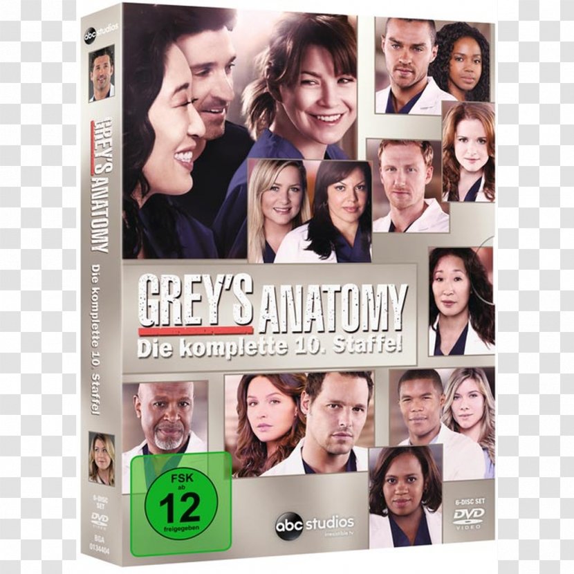 Grey's Anatomy - Season - 10 Meredith Grey Maggie Pierce AnatomySeason 14Greys Transparent PNG