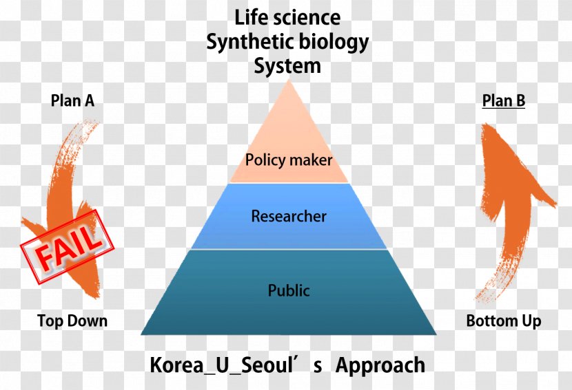 Triangle Brand Diagram - Observe Order And Establish Social Morality Transparent PNG