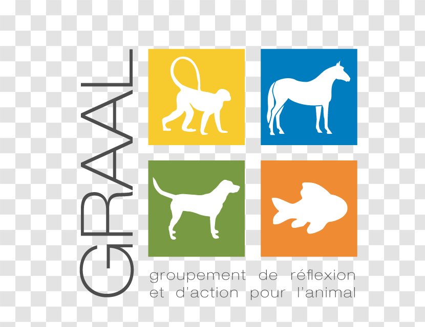 Dog Holy Grail Voluntary Association Animal Testing - Organism Transparent PNG