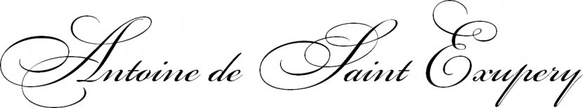 Brand Logo Line Font - Examen Transparent PNG