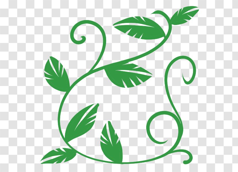 Crane Leaf Plant Vine - Artwork Transparent PNG