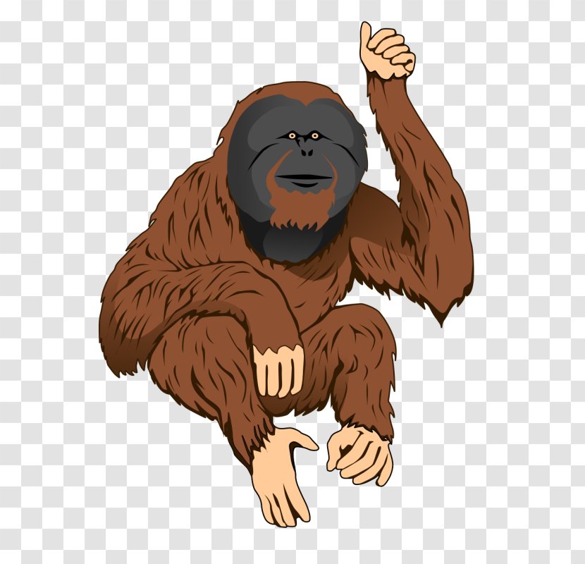 Ape The Orangutan Bornean Clip Art - Drawing - Carnivoran Transparent PNG