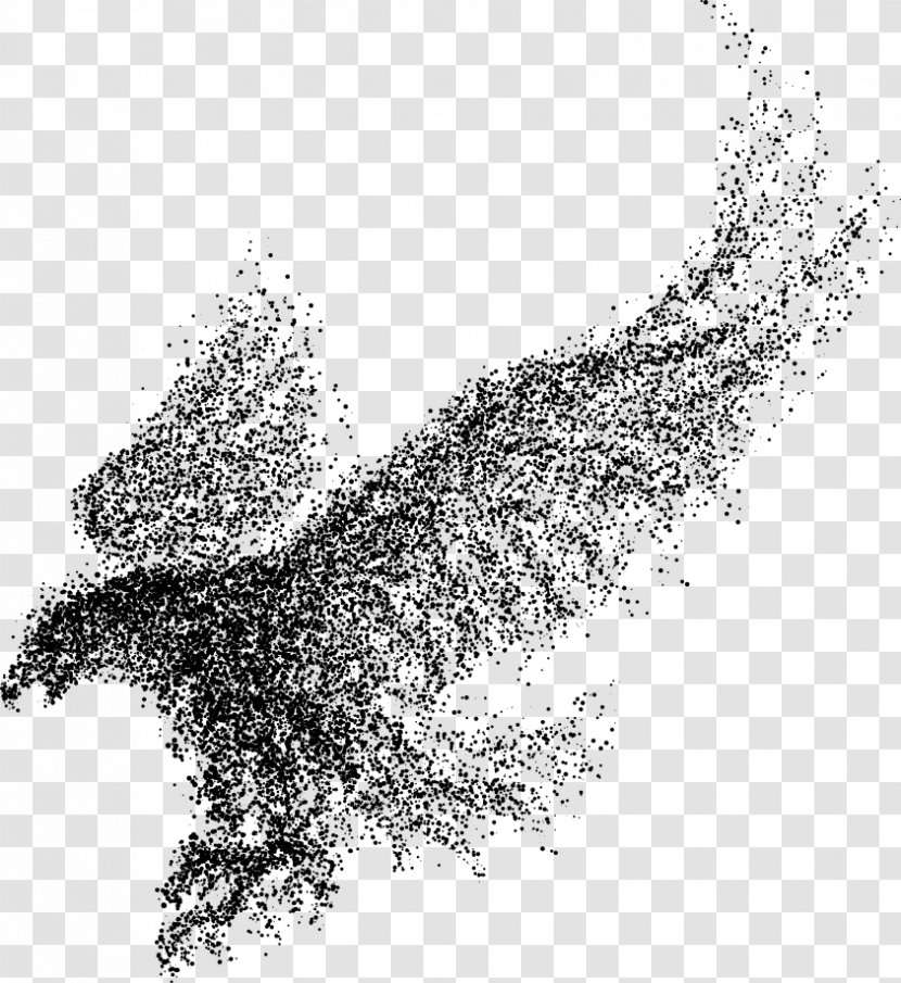 Bald Eagle Bird - Wings Vector Particles Transparent PNG