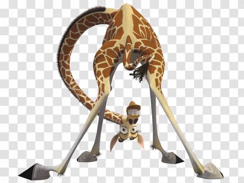 Melman Alex Gloria Giraffe Madagascar - Mammal - Shrek Transparent PNG