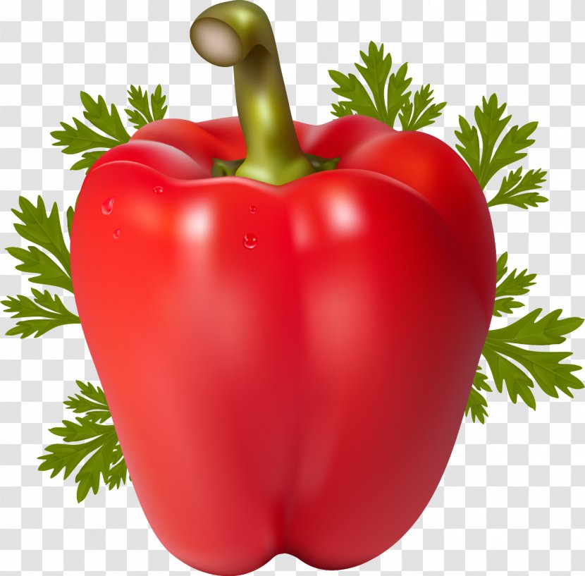 Tomato Chili Pepper Bell Vegetable Peppers - Local Food Transparent PNG