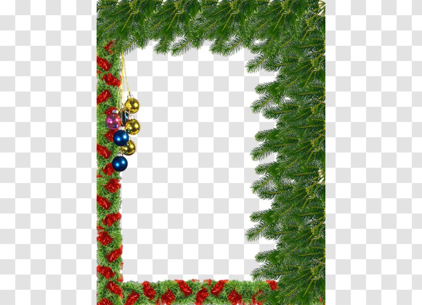 Christmas Picture Frame - Evergreen - Transparent Background Transparent PNG