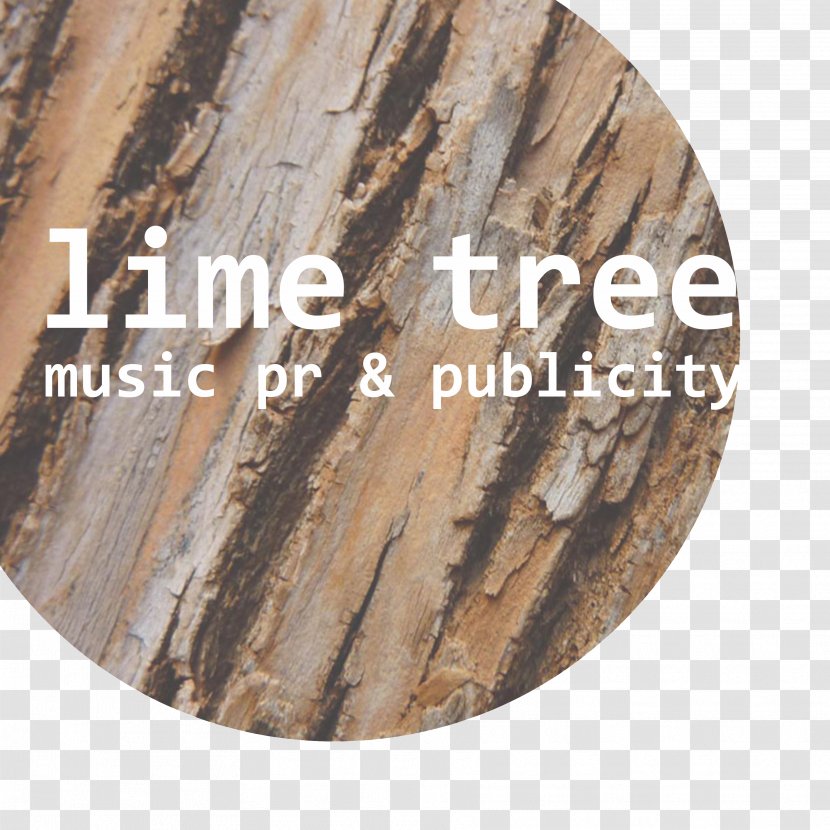 Desktop Wallpaper Tree Trunk Bark Transparent PNG