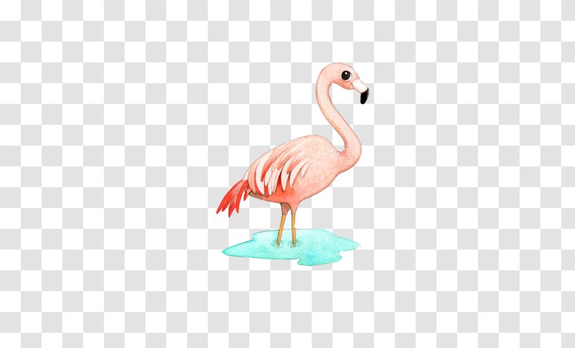 Greater Flamingo Bird Paper Illustration - Fauna - Flamingos Painted Material Picture Transparent PNG