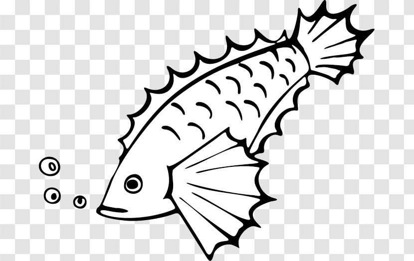 Drawing Fish Clip Art - Area - Cartoon Transparent PNG