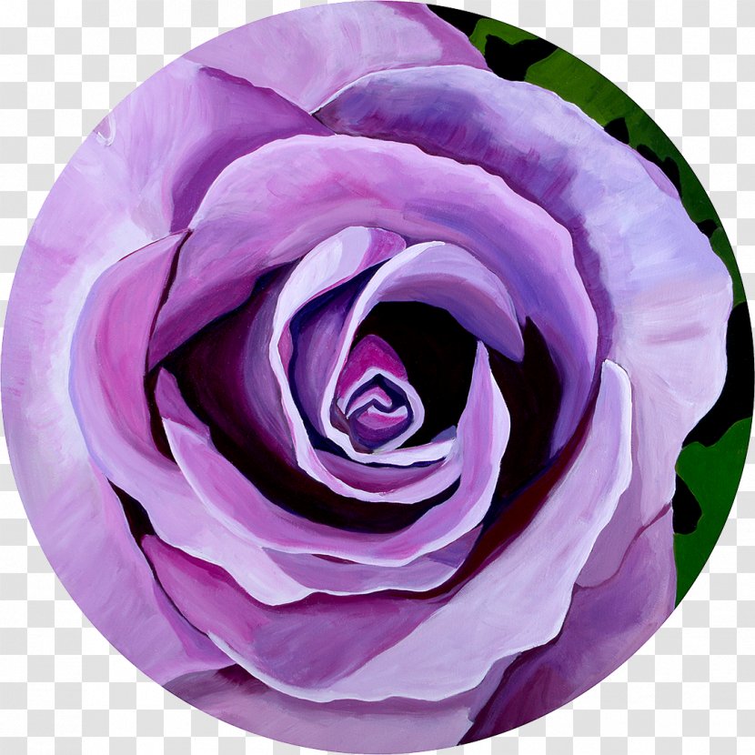 Art Cut Flowers Lavender Garden Roses - Violet - Amethyst Transparent PNG