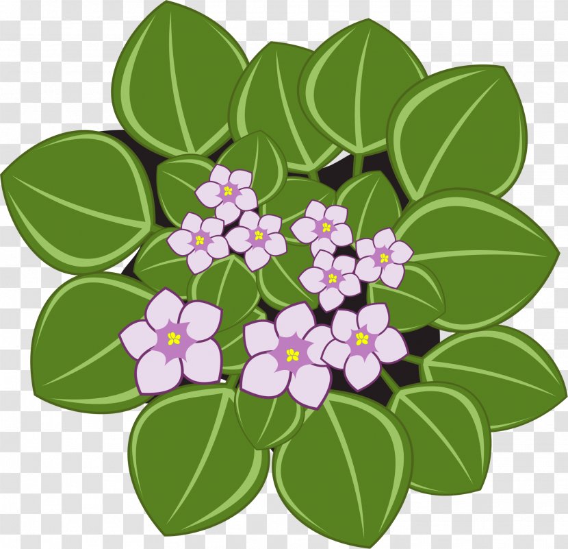 African Violets Clip Art Openclipart Violet Society Of America Vector Graphics Transparent PNG