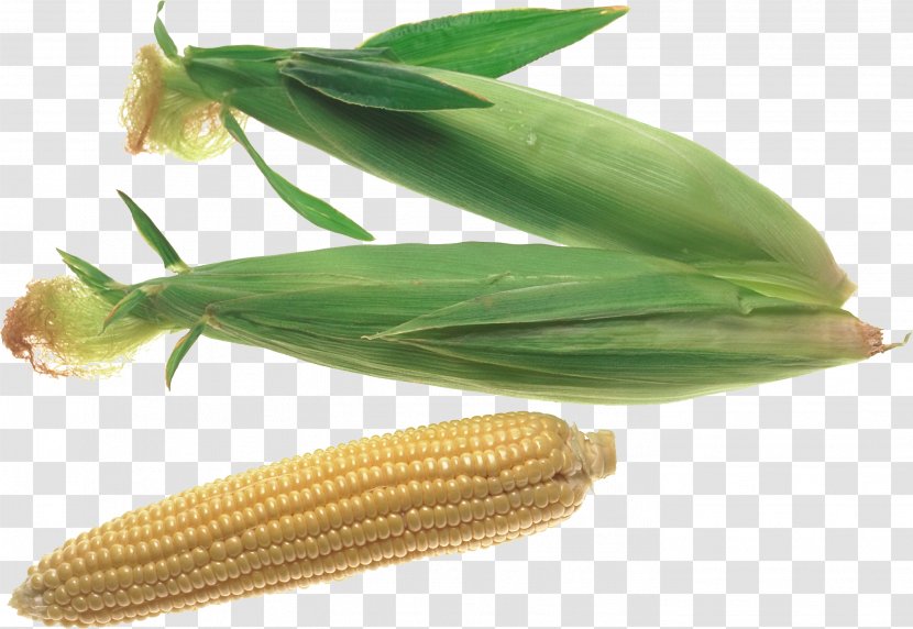 Corn On The Cob Maize Sweet Clip Art - Ingredient Transparent PNG