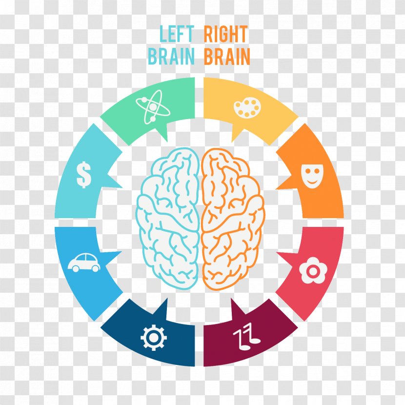 Lateralization Of Brain Function Human - Frame Transparent PNG